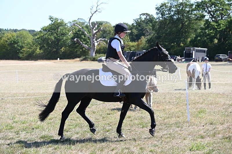 WJ6_8318 - Class 37a Best Loan Pony Ridden