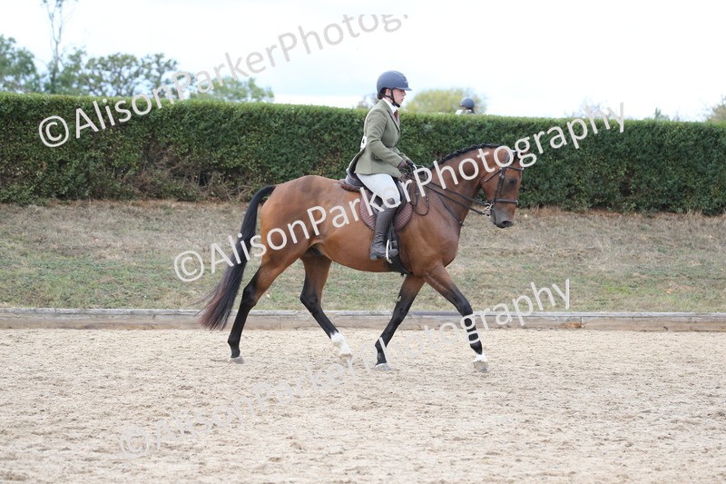 20260831-2601 - Class 15 - Ridden Retraining of Racehorses