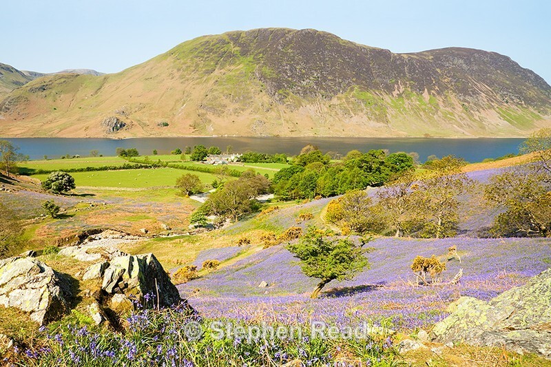 Rannerdale Bluebells and Crummock Water