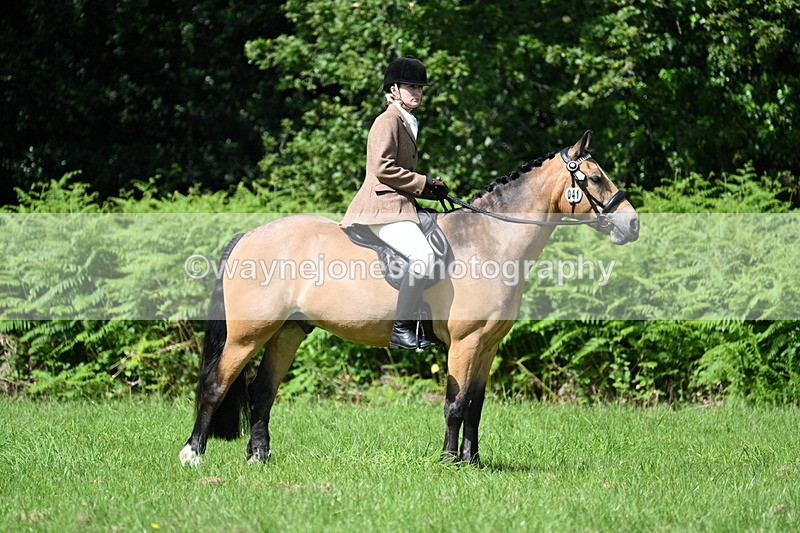 WJ7_1119 - Class 11 Condition & Turnout