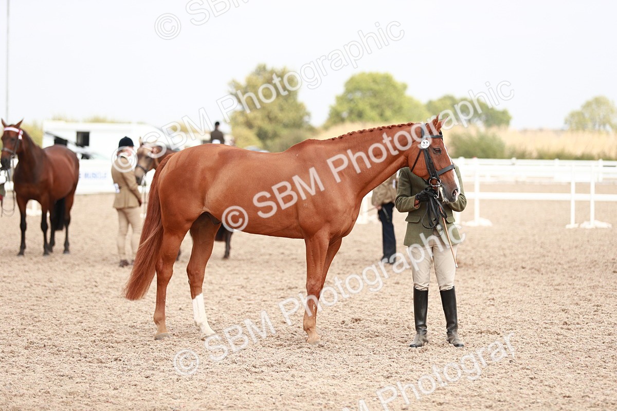 SBM_13249 - Class 208 IH Veteran Horse