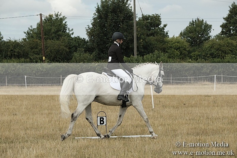 _PJP5767 - Dressage Classes BVRC Show 2018