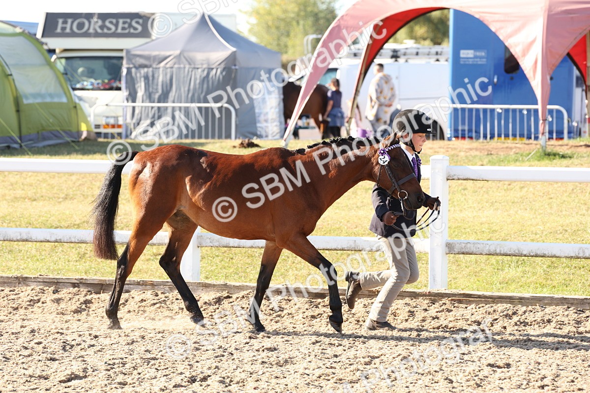 SBM_11639 - Class 203 - Young Handler 11 to 16 years