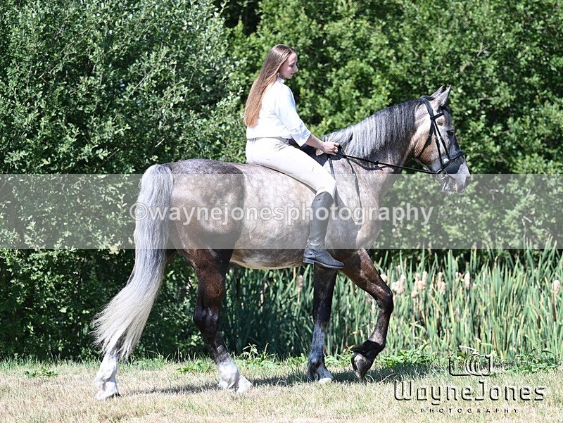 WJ7_4284 - Annable & Atlas 13-07-25