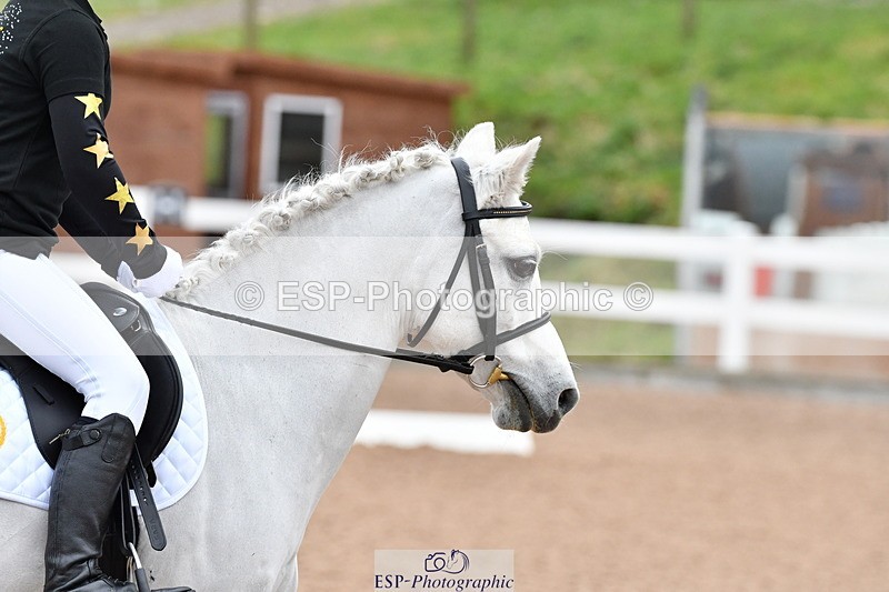 231217A-105716-00213 - Quest Classes