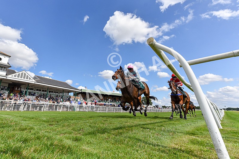 160725-Race 2-Shetakesthegold-7379 - Race 2