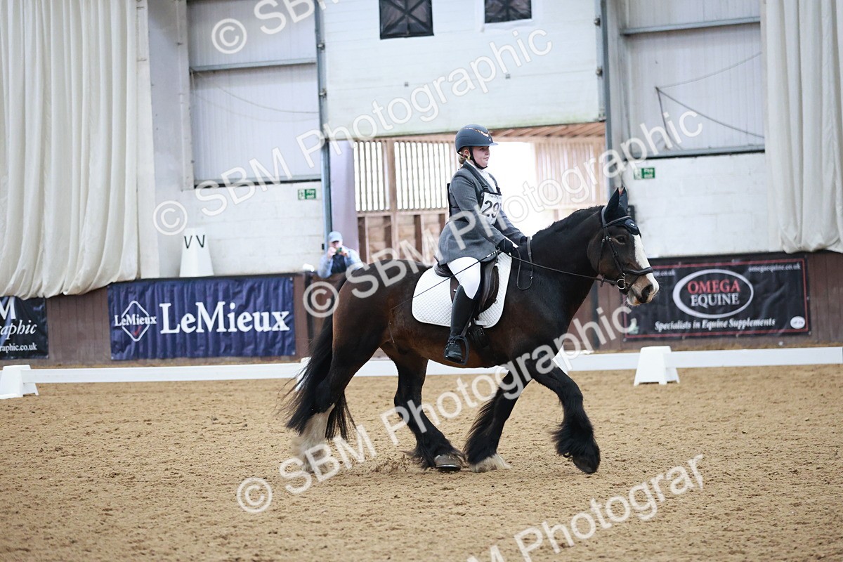 SBM_003841 - Class 2 - Novice 2020