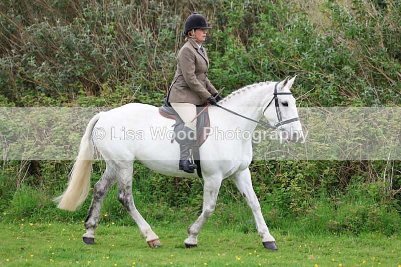 3E7A1102 - Class 7: Ridden Hunter Type