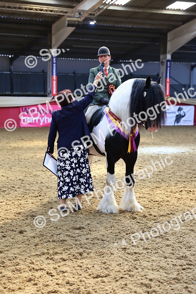 SBM_12786 - HOYS Veteran Qualifier - Ridden Champ