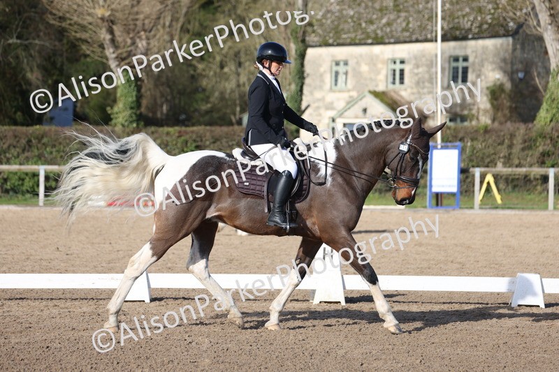 20260214-0528 - Class 5 - Novice 3