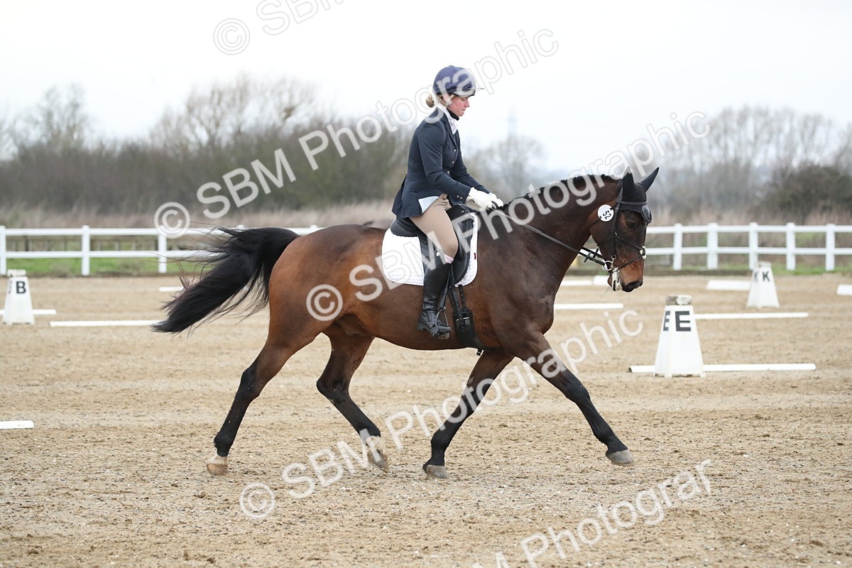 SBM_004710 - Novice 3