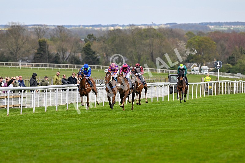 150426-Race 5-Elysian Flame-7081 - Race 5