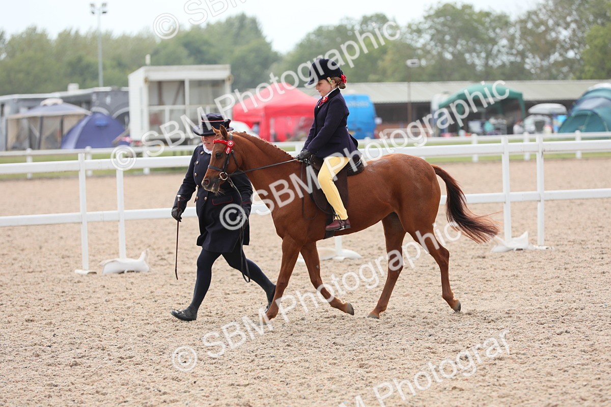 SBM_16904 - Class 314 Family Horse/Pony