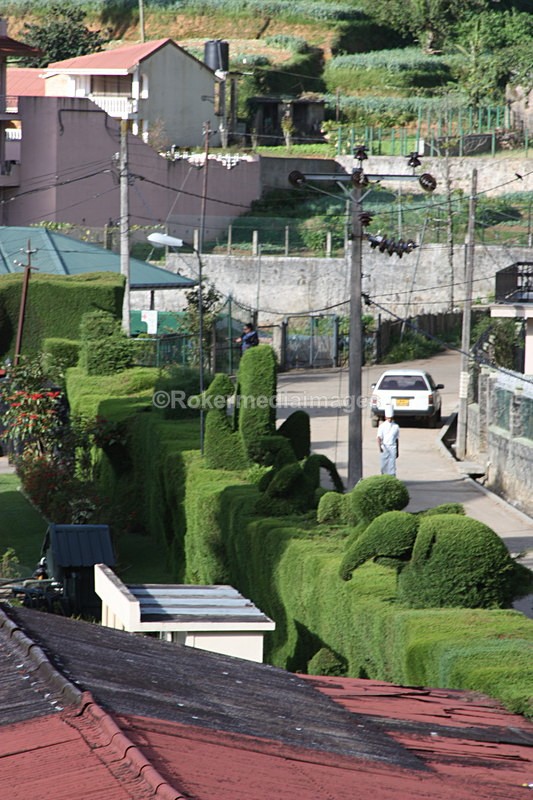  - Travel and culture