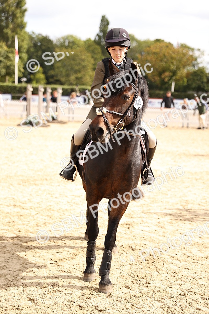 SBM_64021 - J12 - Junior Pony 55cm Championship