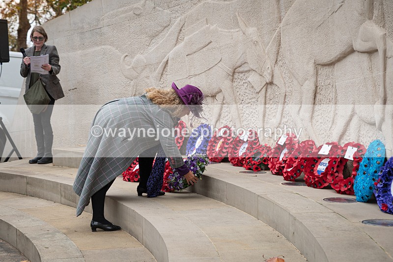 Z62_4648 - Animals In War Memorial 2025 - Park Lane, London