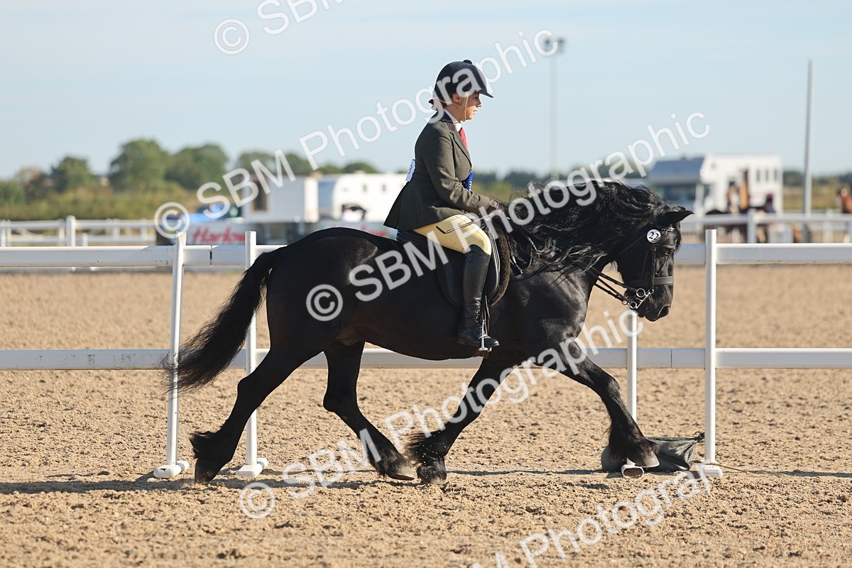 SBM_11148 - Class 302 - Ridden M&M Large Breeds