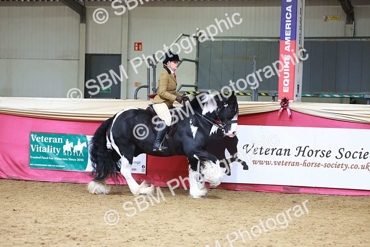 SBM_06202