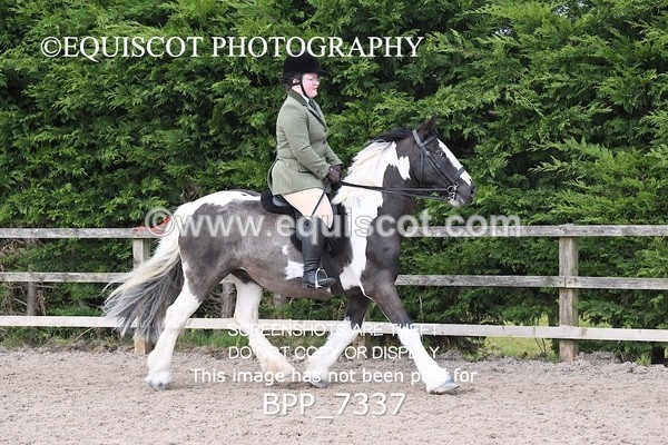 BPP_7337 - RING 1  (RIDDEN HORSES / IN HAND / VETERAN ETC)