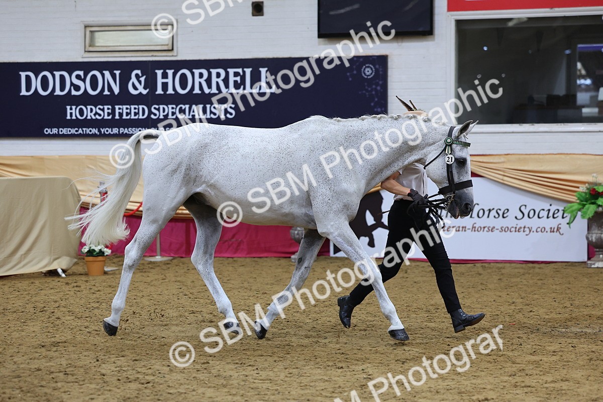 SBM_20911 - Class 902 - Supreme Final IH Veteran