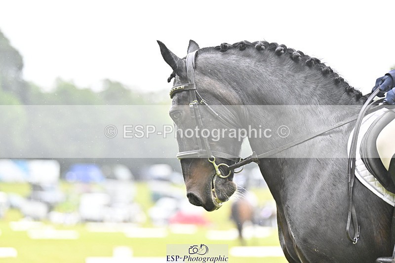 240824X-090601-21105 - D70 Section A and B 8.30 to 9.30