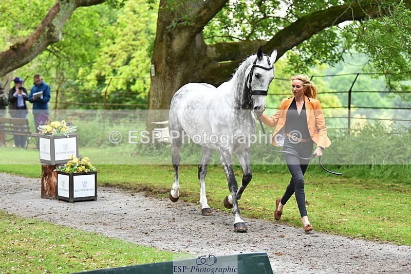 240522-172724-01621 - 287-HEY_DIXIE-Sammy_Harfield