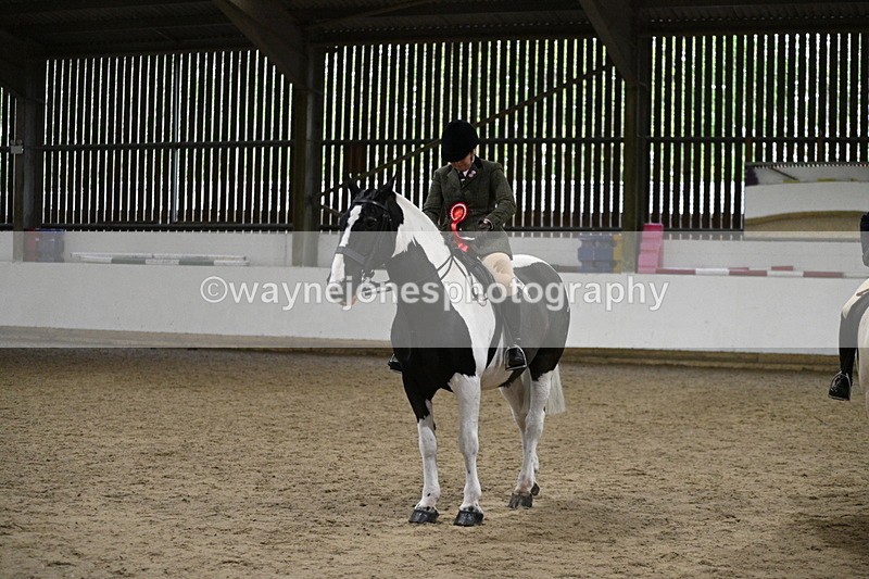 WJ7_3704 - Class 16 Ridden Coloured/ Odd Coloured