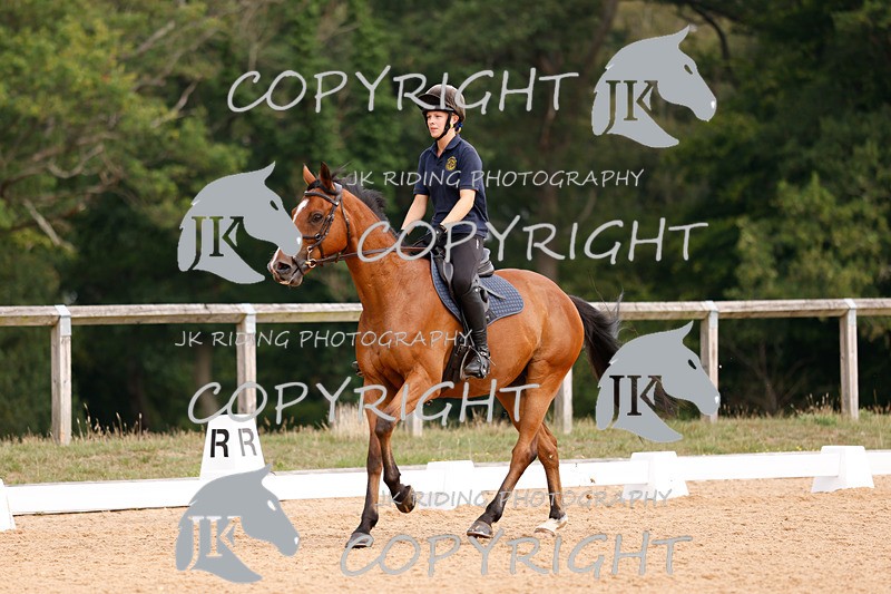 _R6A2691 - Dressage Morning