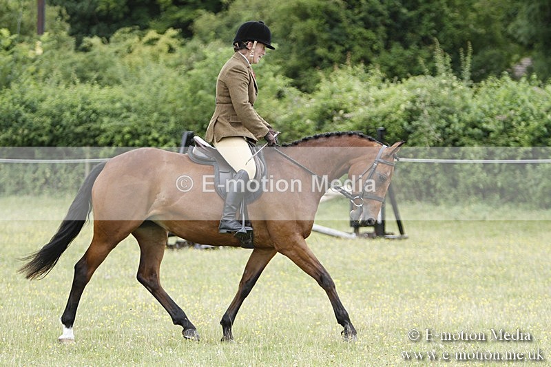 BVR160717-1779 - Ring 3 BVRC Show 16/07/17