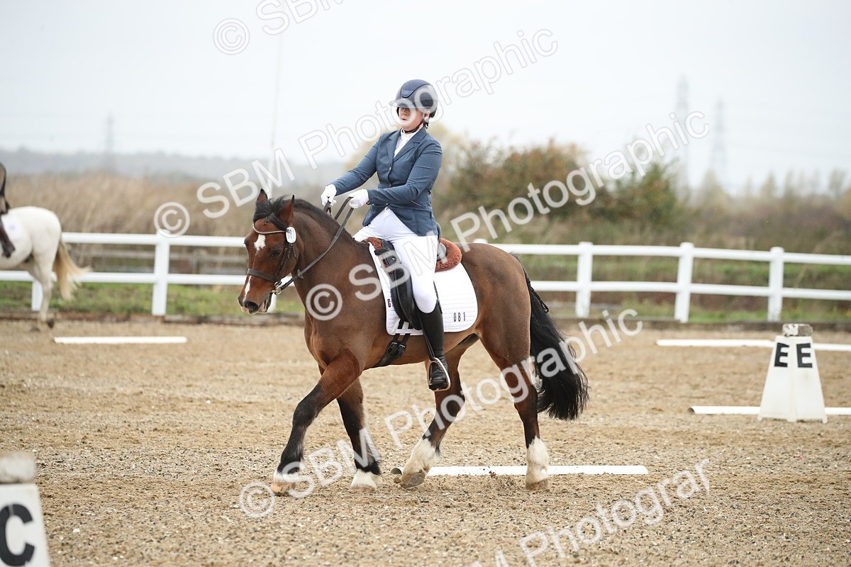 SBM_001708 - Prelim 2