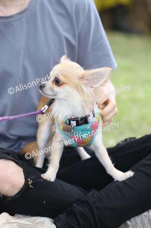 20250607-0315 - Class 8 - Best groomed