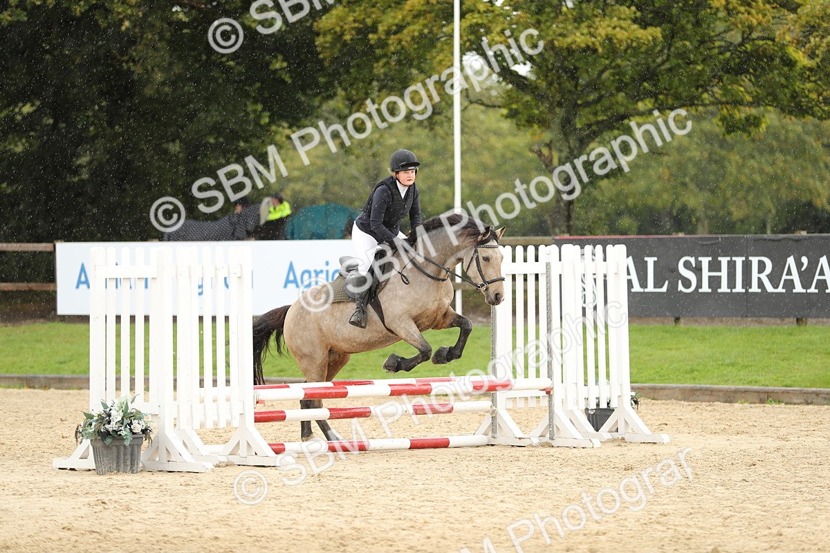 SBM_40384 - J21 - Junior Horse 60cm Championship