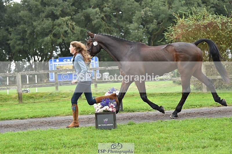 231018-124046-00447 - 052-SHANNONDALE.COURAGE-Georgina.Beeby.Wynn-TrotUp