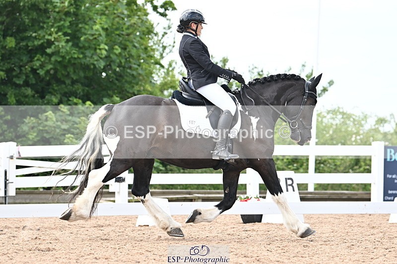 240621A-143915-03980 - Cls 11 BD Medium 73