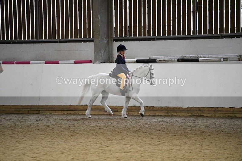 WJ5_7410 - Class 11 Ridden PC - RC Pony