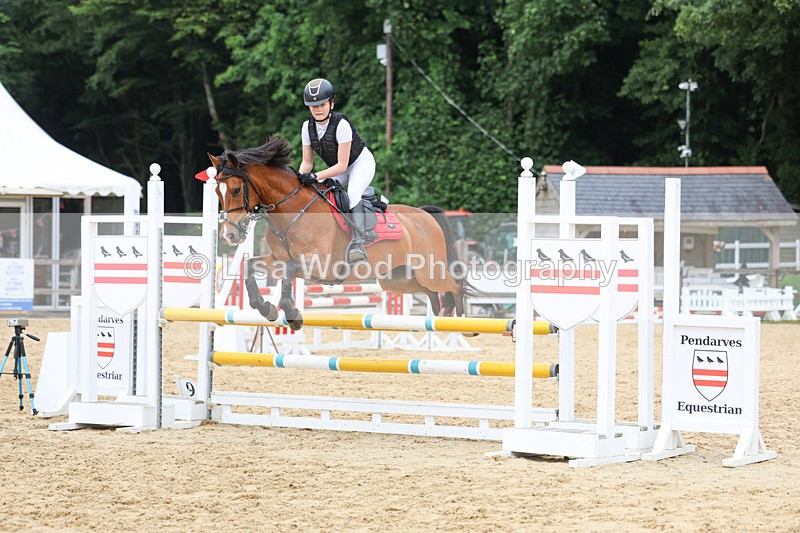 3E7A6905 - Class 14: Pony Discovery/90cm open