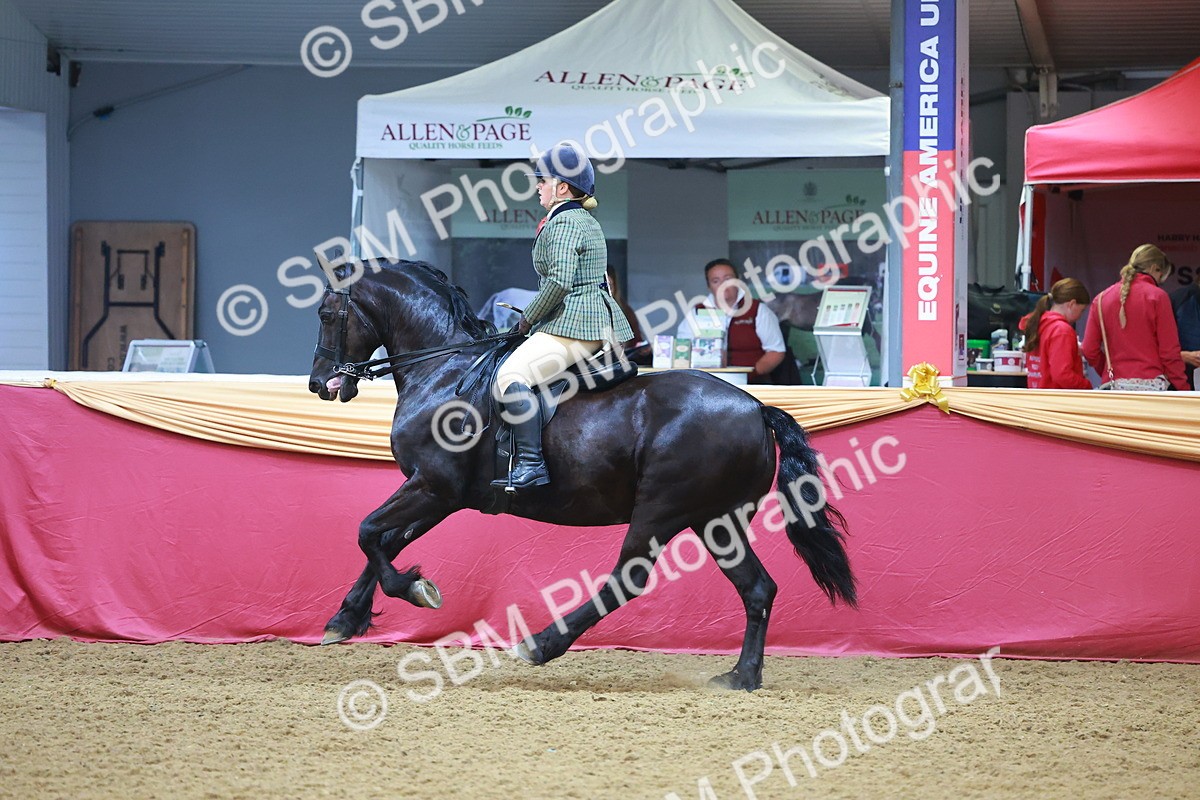 SBM_09732 - Class 102 - HOYS Veteran Qualifier - Ridden Veteran