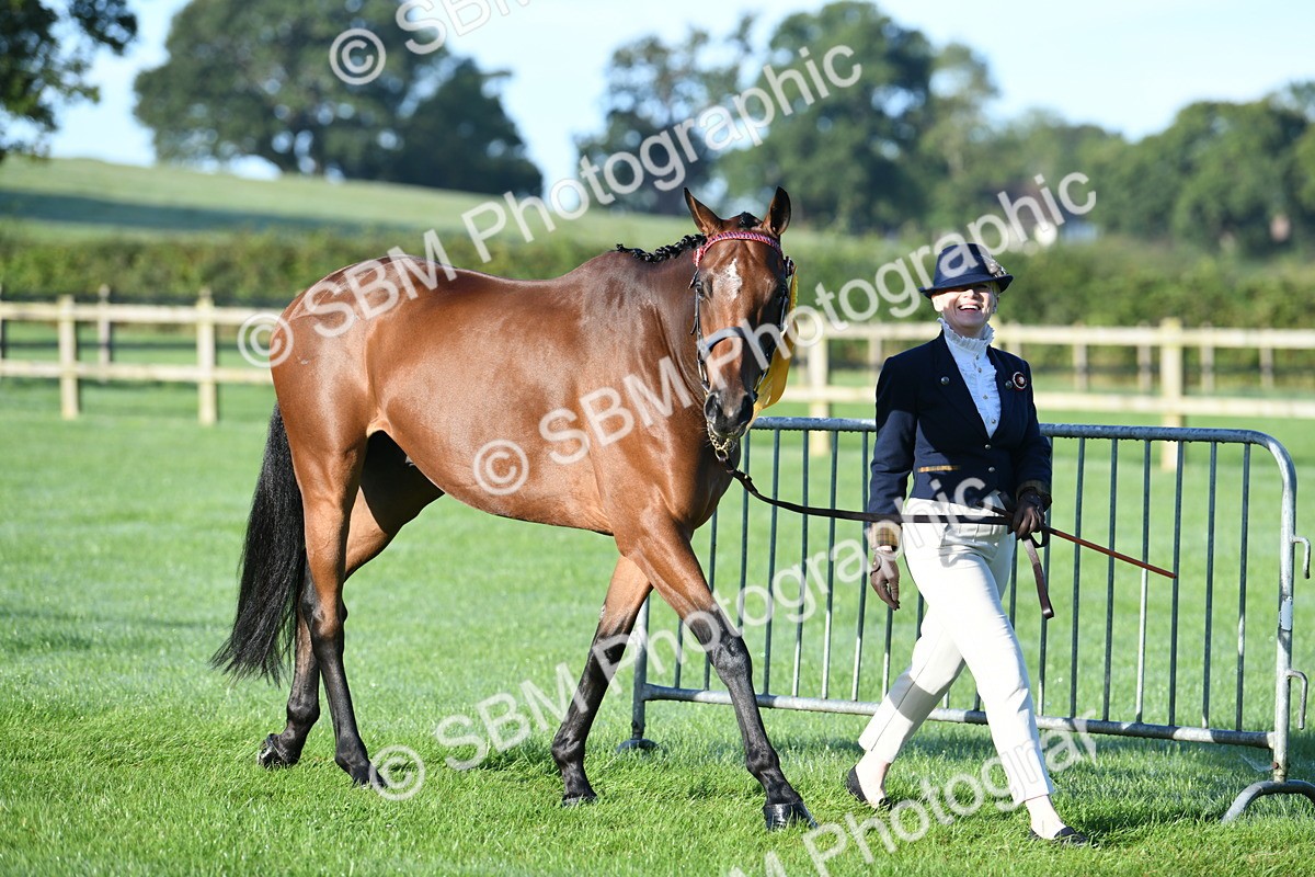SBM_32880 - S15 - Condition & Turnout In Hand