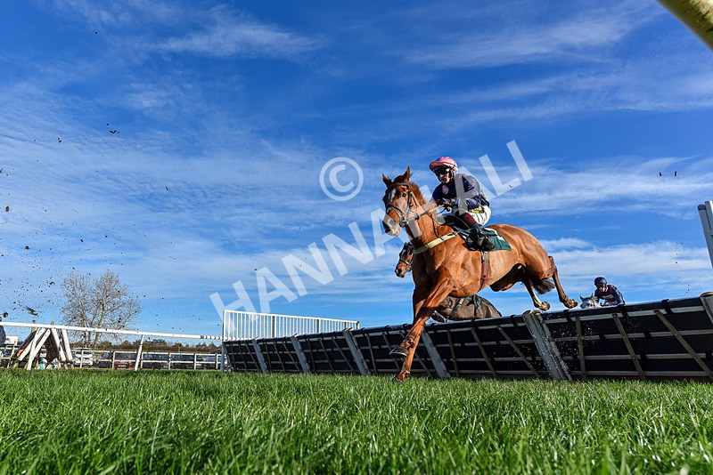 211125-Race 3-Heather Honey-3217 - Race 3