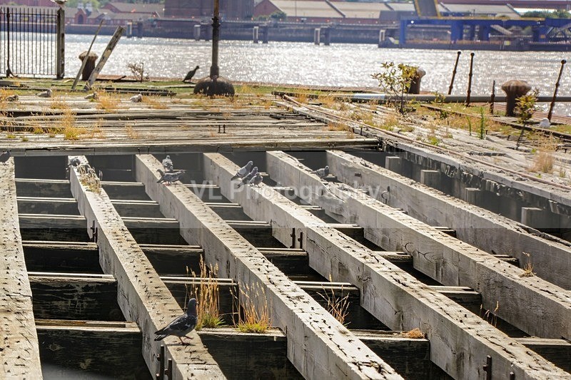 Landing Stage Princes Dock - Liverpool