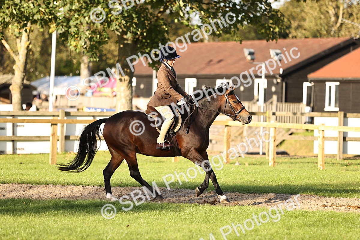 SBM_29619 - S7 - Novice & Newcomers Ridden Pony