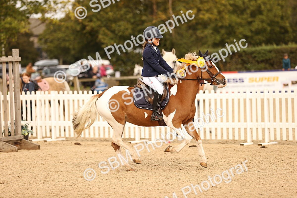 SBM_70875 - J13 - Junior Pony 60cm Championship