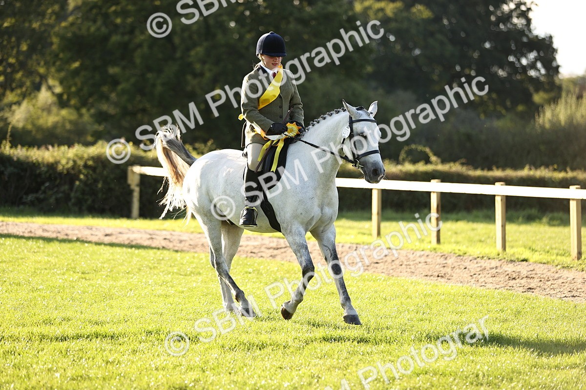 SBM_29657 - S7 - Novice & Newcomers Ridden Pony