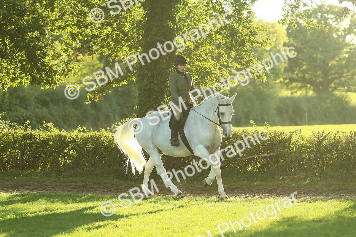 SBM_55573 - S14 - Riding Club Horse