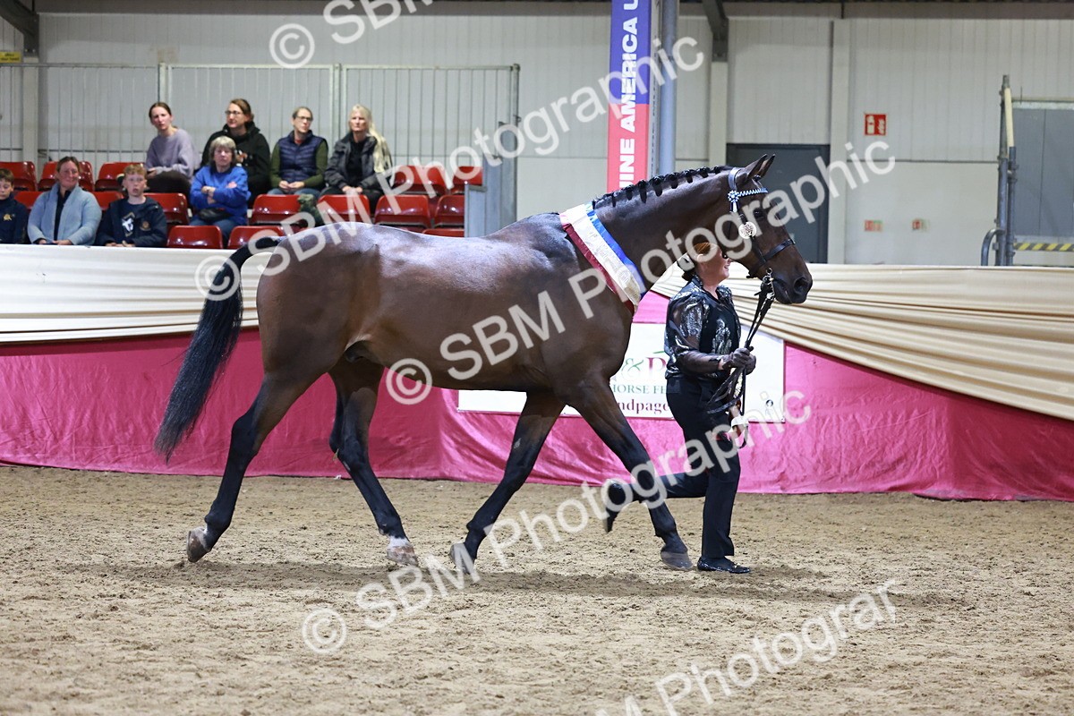 SBM_20651 - Class I - Ridden Pony Champ