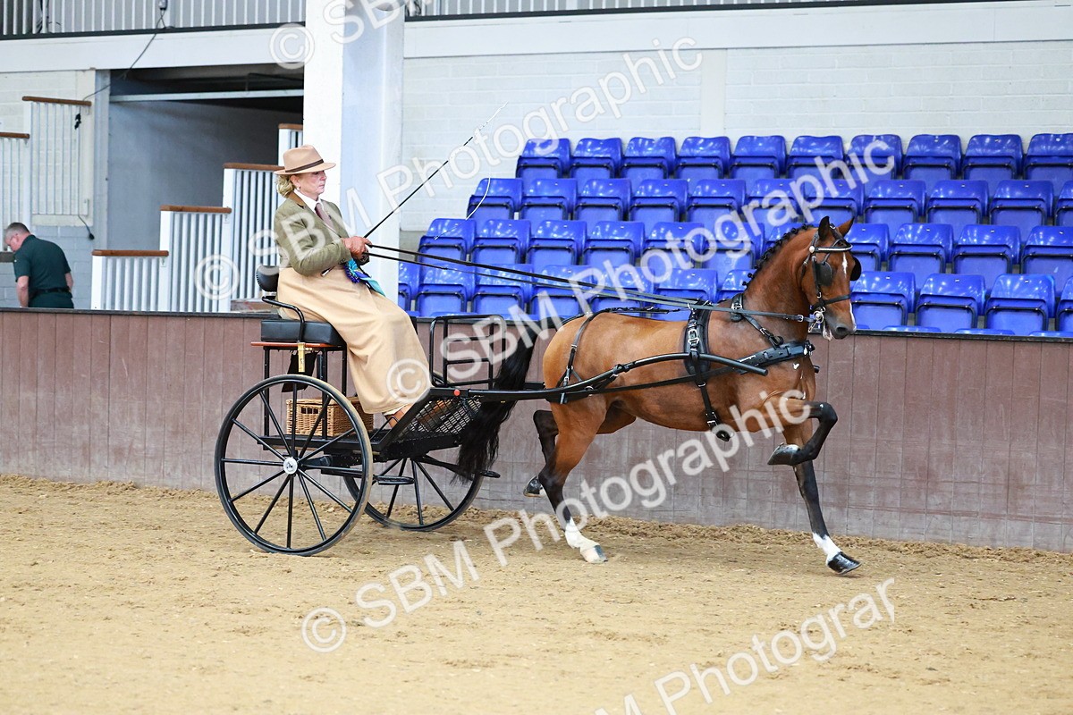 SBM_000165 - Class 3 - Alison Thomas Memorial Lady Whip