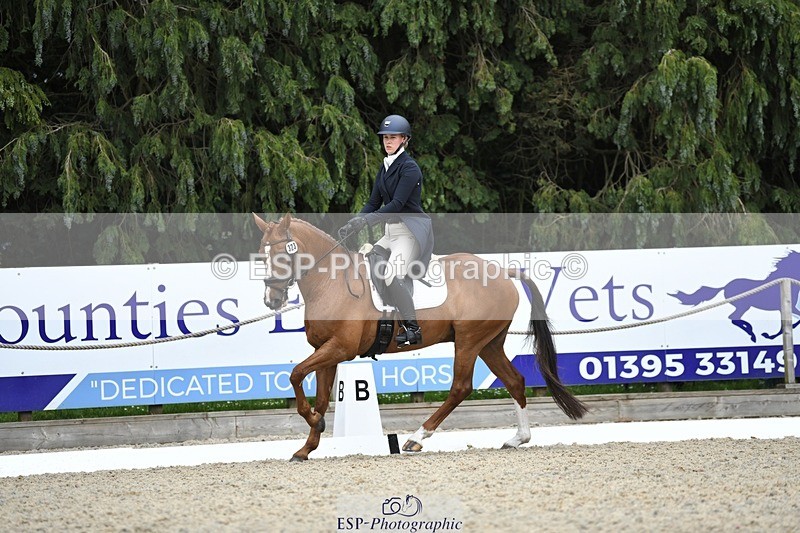 230525-144551-03175 - 323-CHESTNUT_BOBBY-Molly_Fletcher-WEDTrotUp+DR