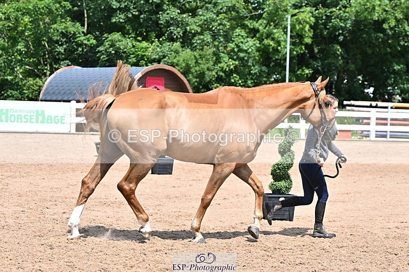 240718A-105315-01751 - Trot Up 1pm to 2pm