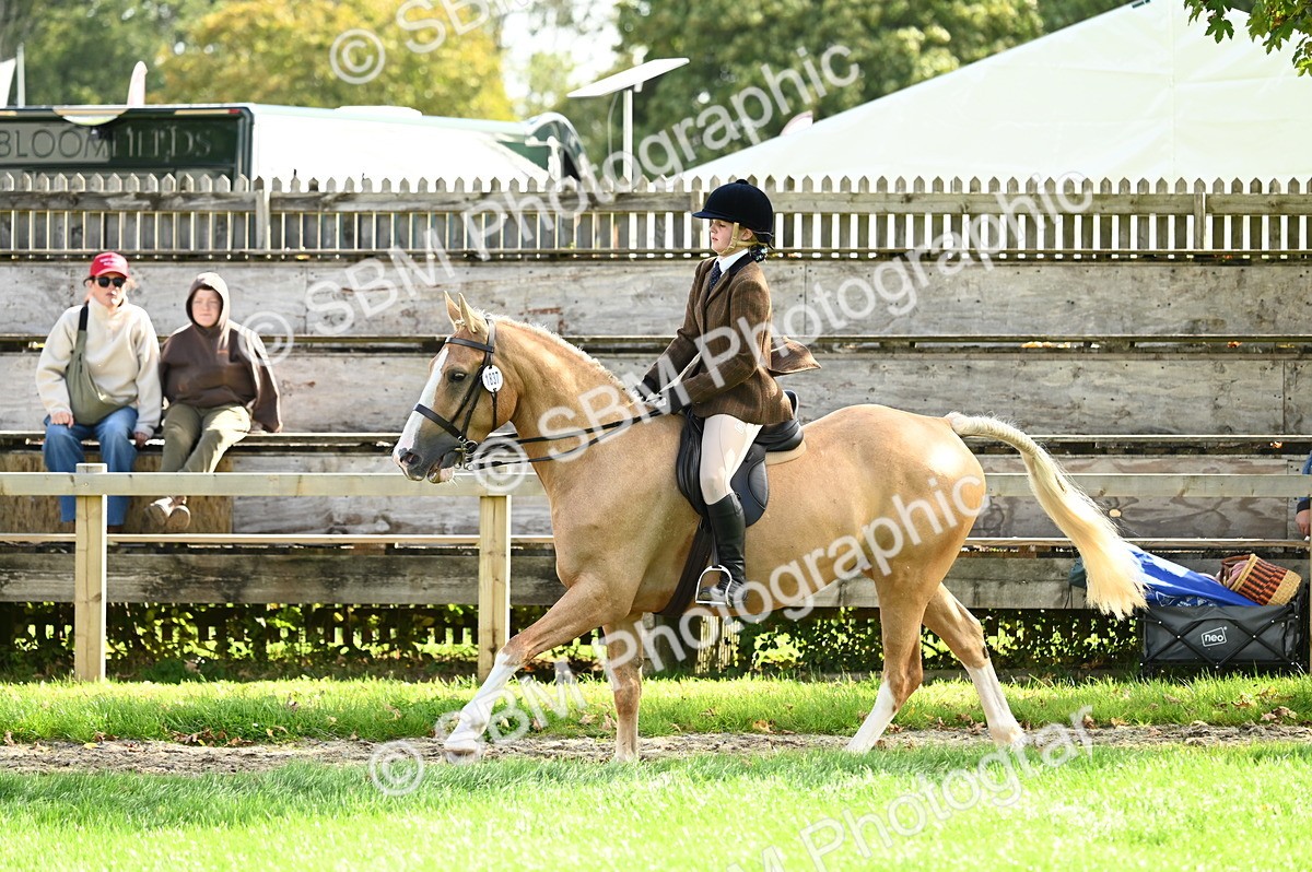 SBM_01723 - S2 - TSR Ridden Horse Showing