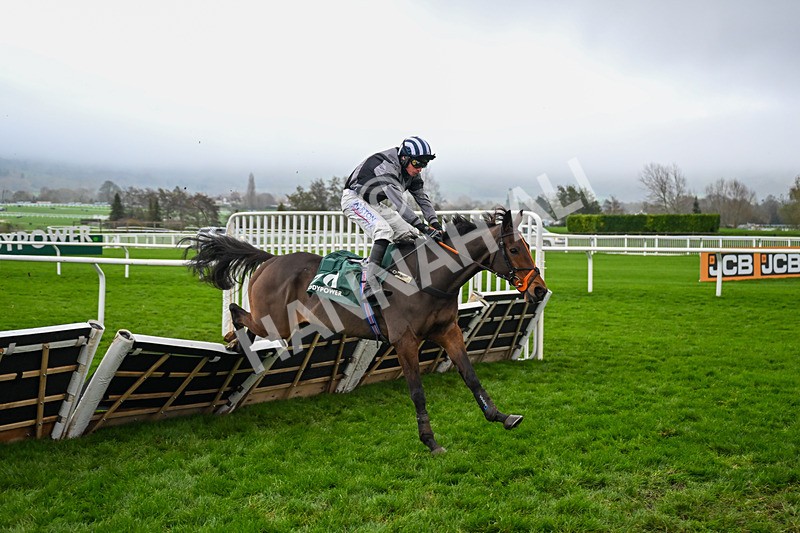 151125-Race 5-Vee Dancer-3963 - Race 5
